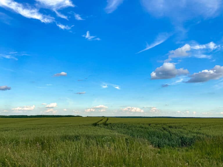 Ashland Land for Sale | Roche Realty Group 