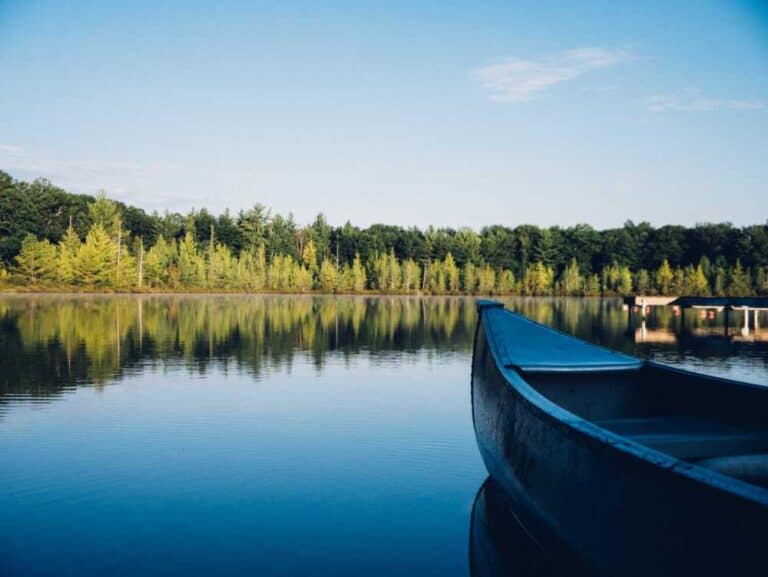 Duncan Lake Water Access Real Estate for Sale | Roche Realty Group 