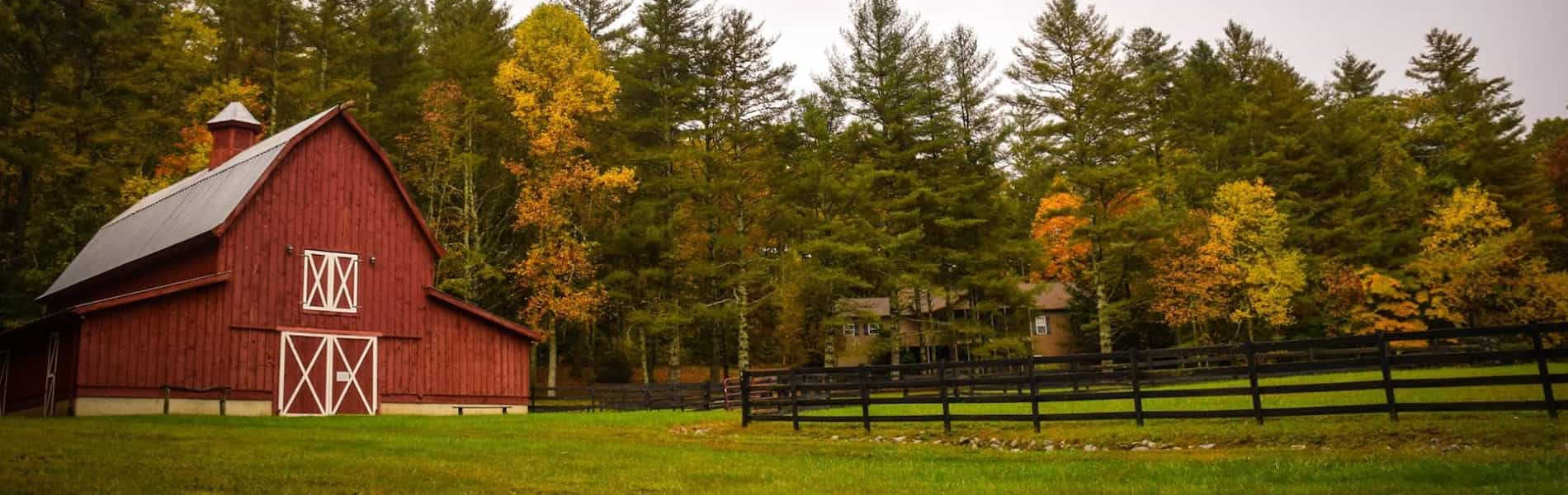 Andover Homes for Sale | Roche Realty Group Real Estate